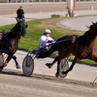 Trabrennbahn Dinslaken