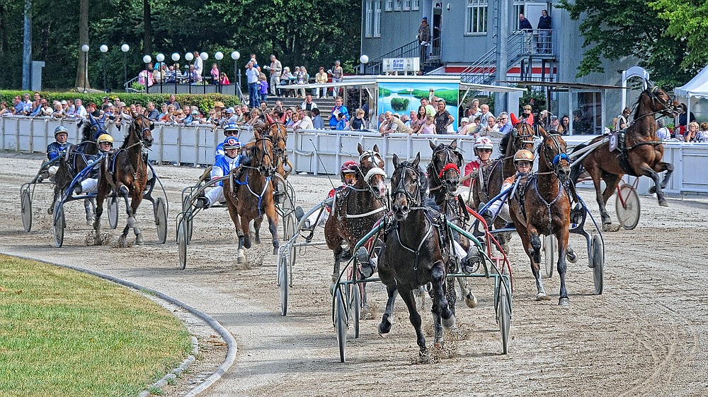 Trabrennbahn Gelsenkirchen - Einfahrt in die Heßlerkurve