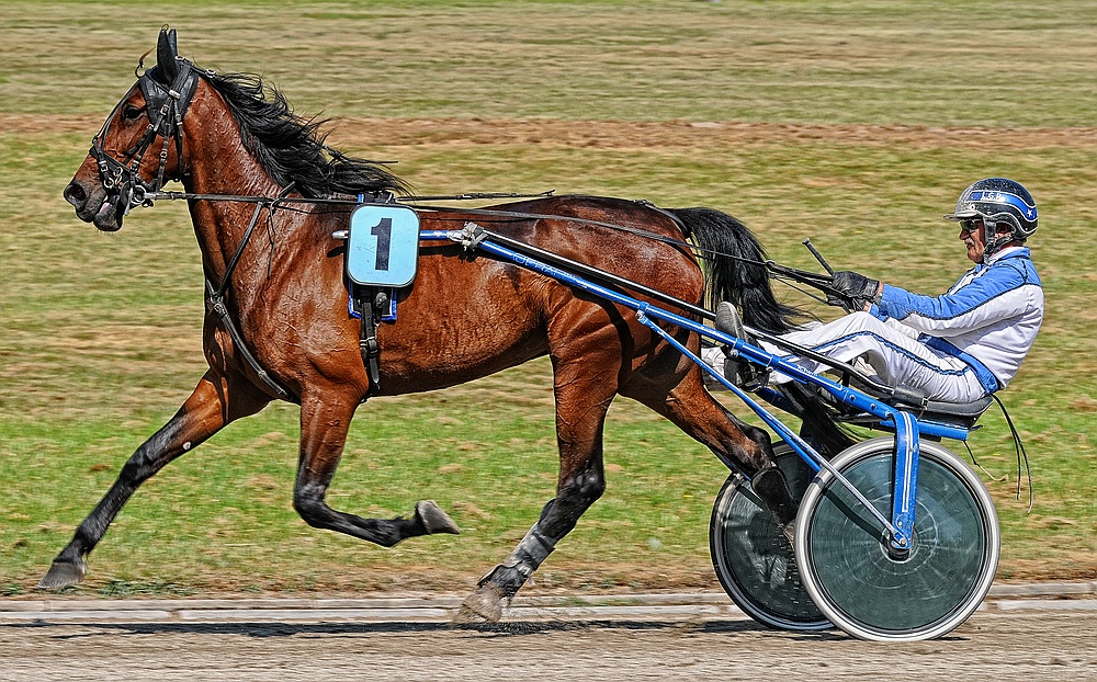 Trabrennbahn Gelsenkirchen - Startnummer 1