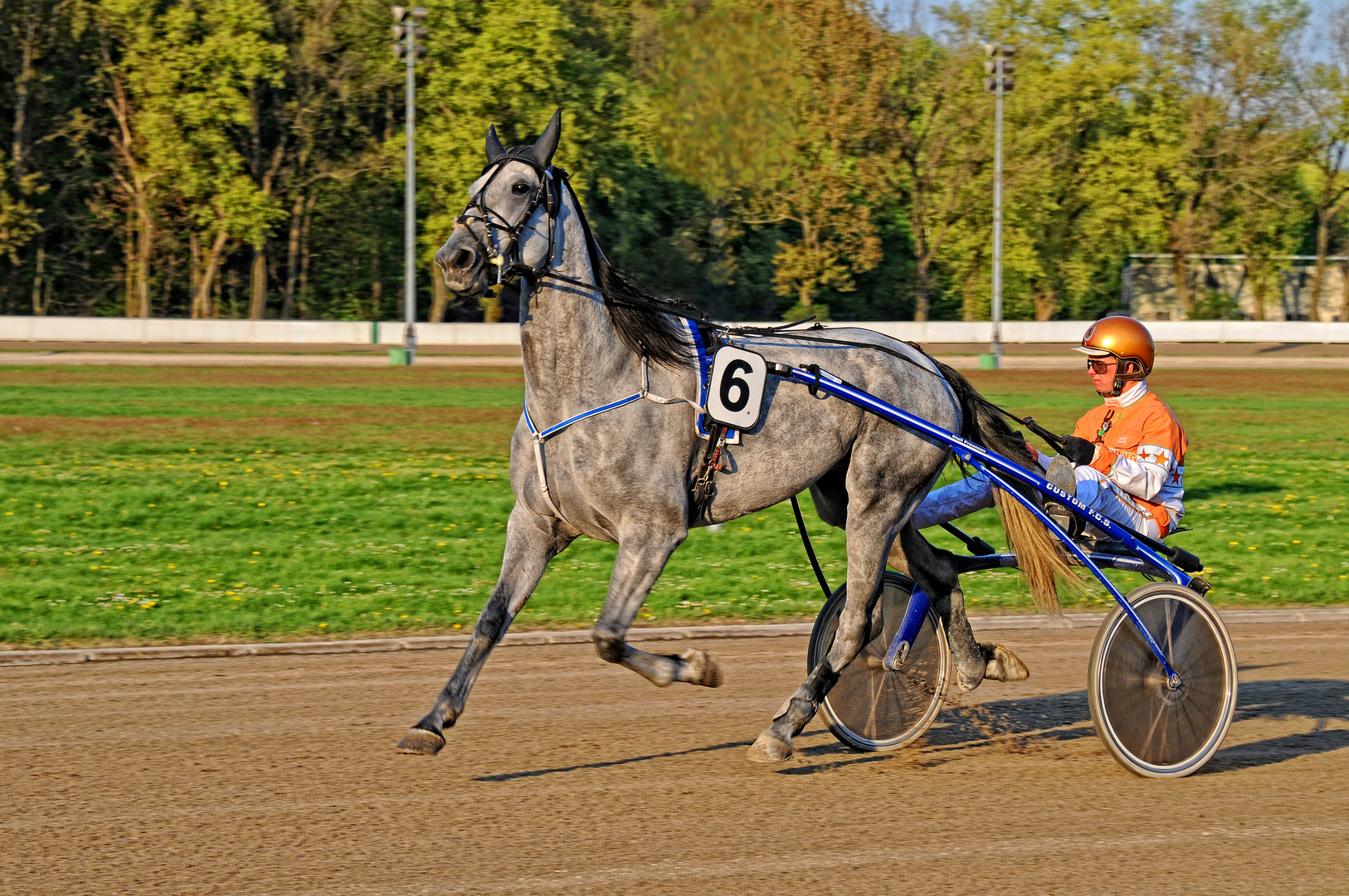 Trabrennbahn Gelsenkirchen - Startnummer 6