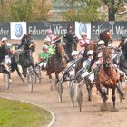 Trabrennen Berlin Mariendorf Breeders Crown