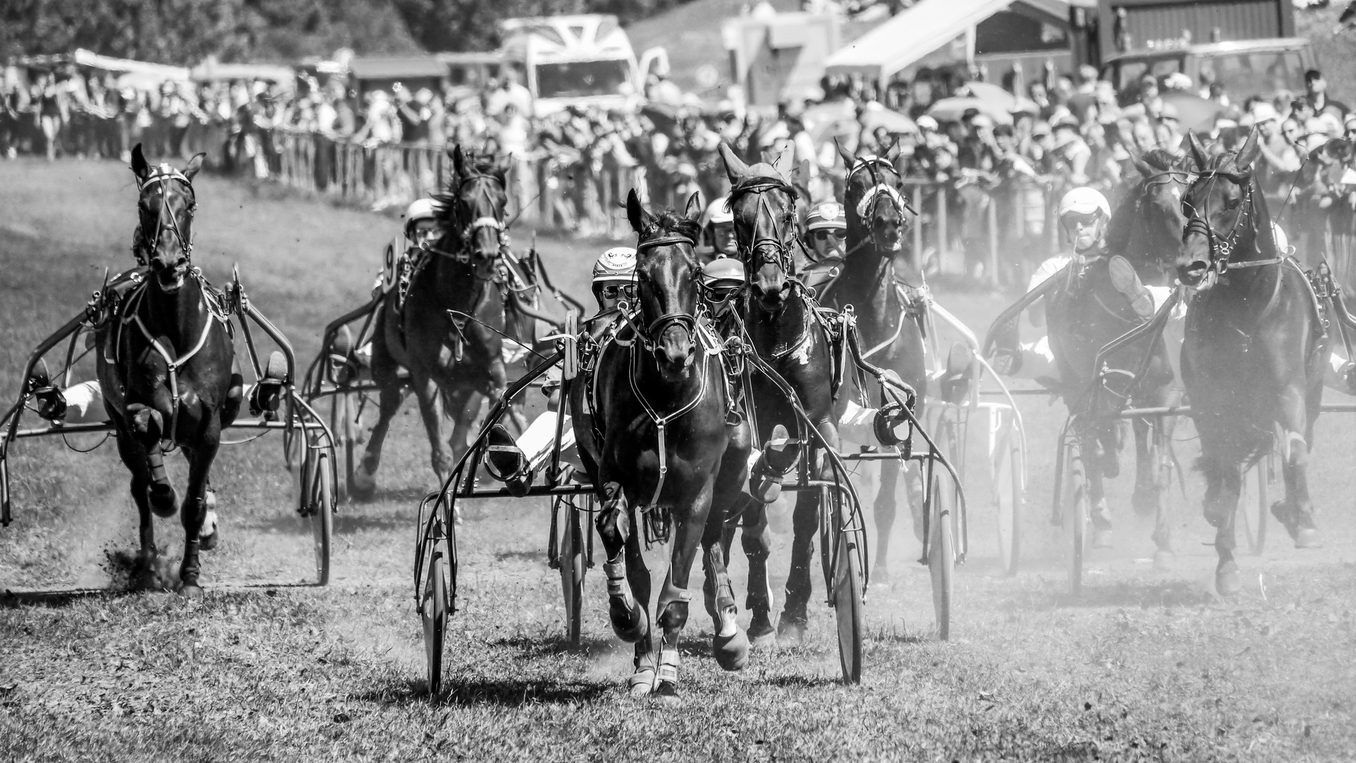 Trabrennen Foto & Bild sport, sport mit tieren, pferdesport Bilder