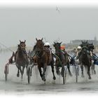 Trabrennsport auf dem Meeresgrund ....