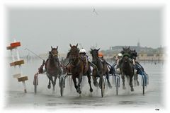 Trabrennsport auf dem Meeresgrund ....