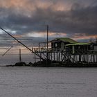 Trabucco a bocca d'Arno