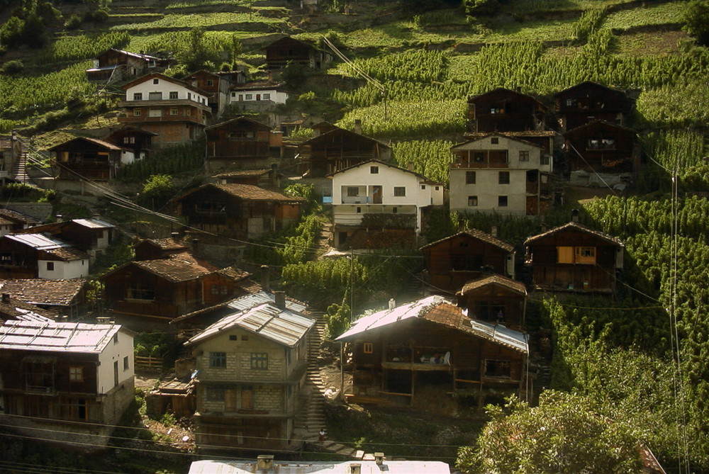 Trabzon Caykara Uzuntarla Köyü2