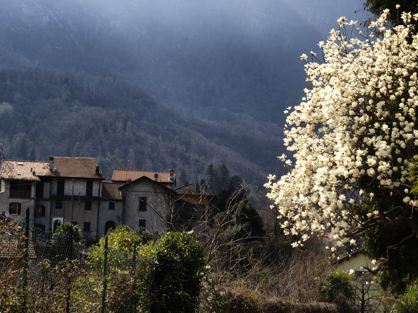 Tracce di primavera