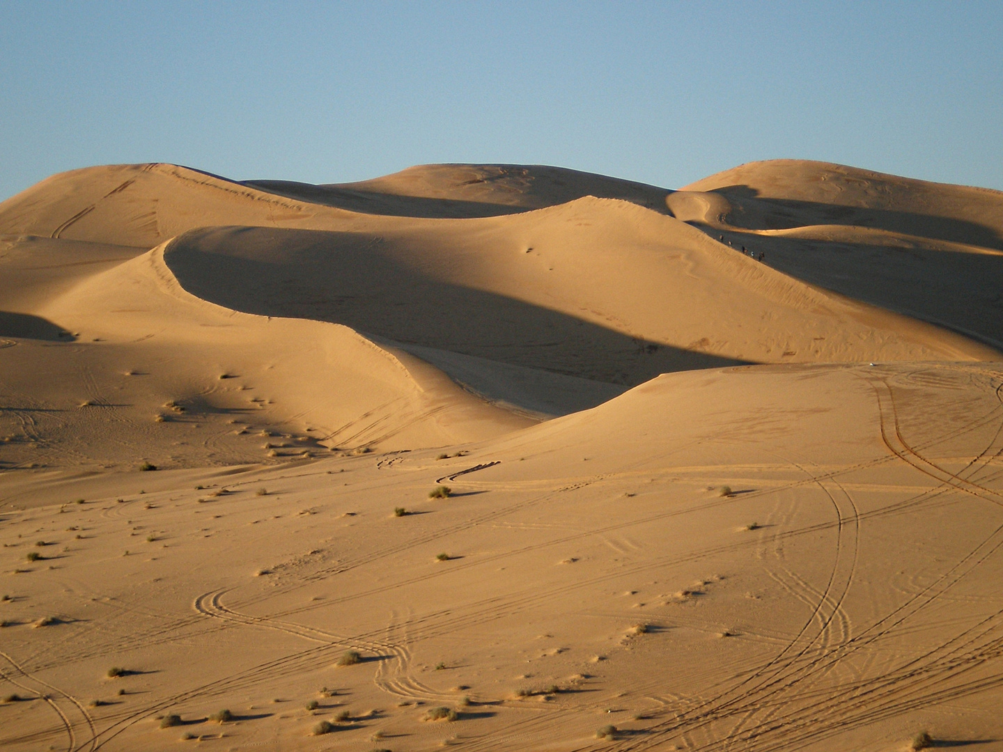 Tracce nel Deserto Libico