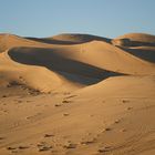 Tracce nel Deserto Libico