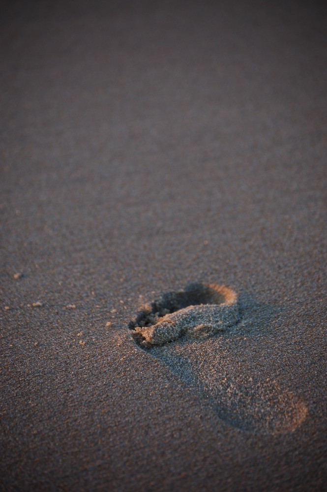 Trace dans le sable