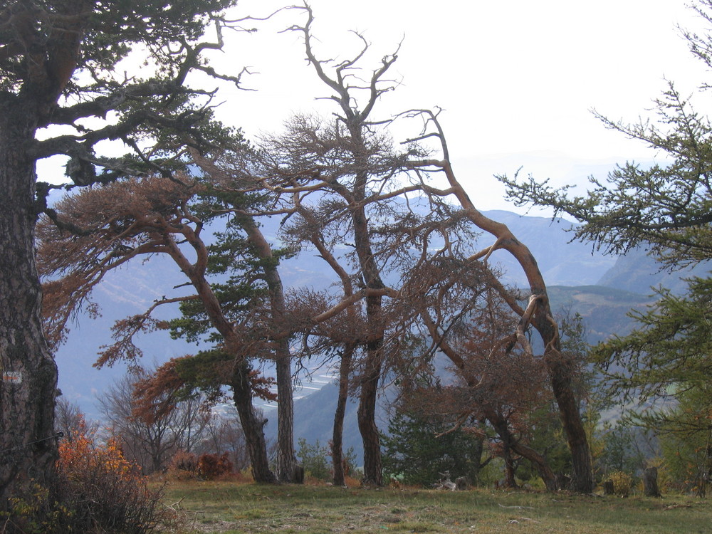 Trace de vent en provence