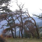 Trace de vent en provence