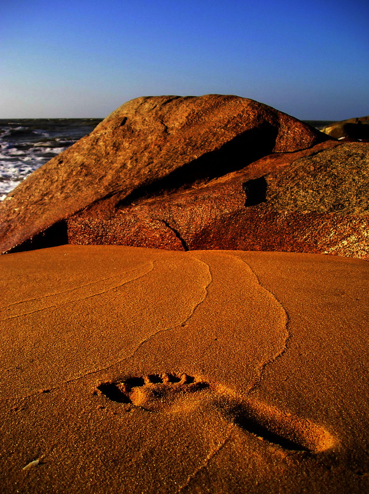 trace sur le sable