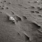 Traces at the sand