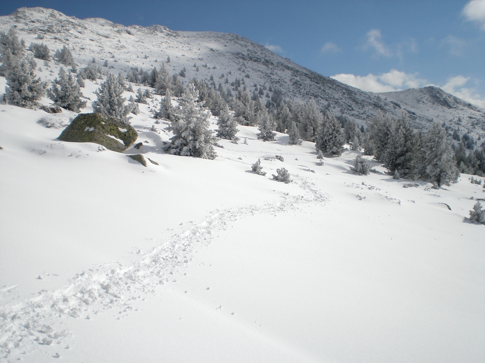 traces dans la neige