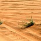 traces de roues dans le sable.