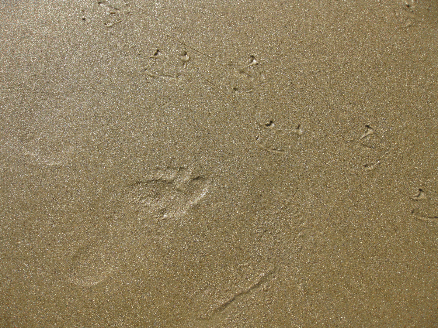 traces éphémères d'une furtive rencontre