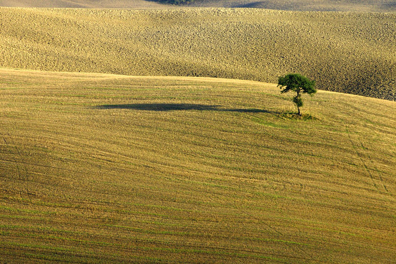 Traces In Green