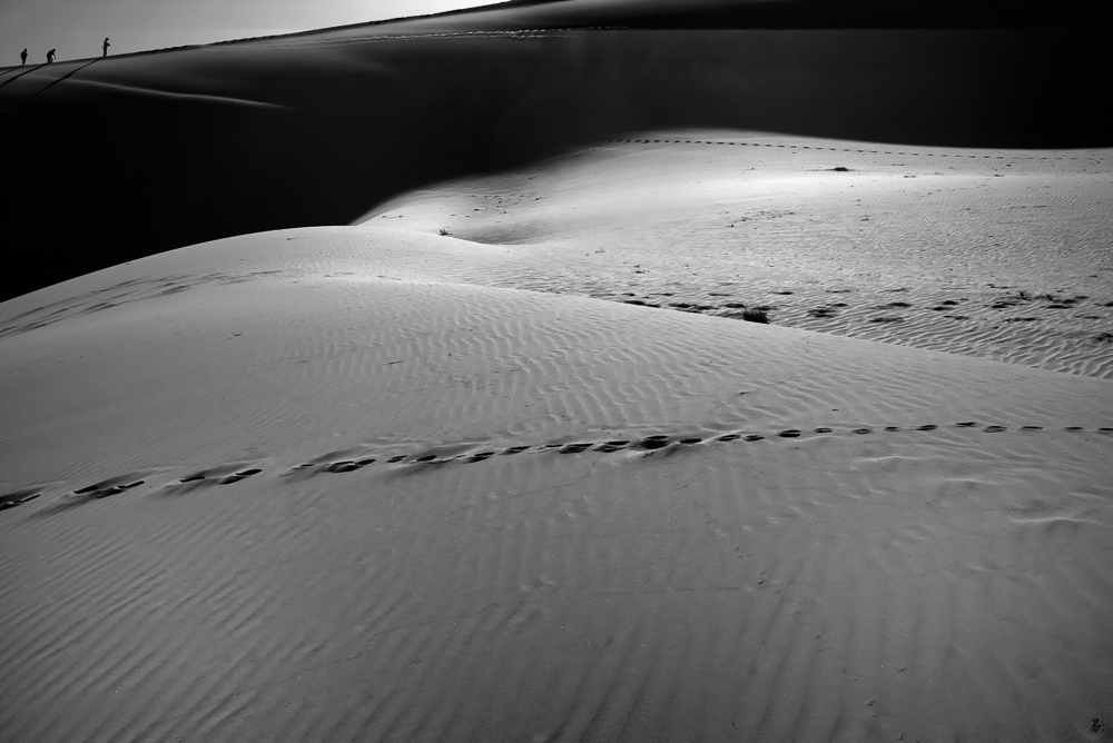 traces in the sand