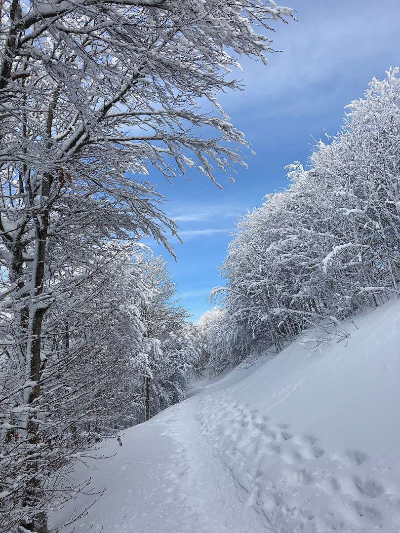 Traces vers le Paradis