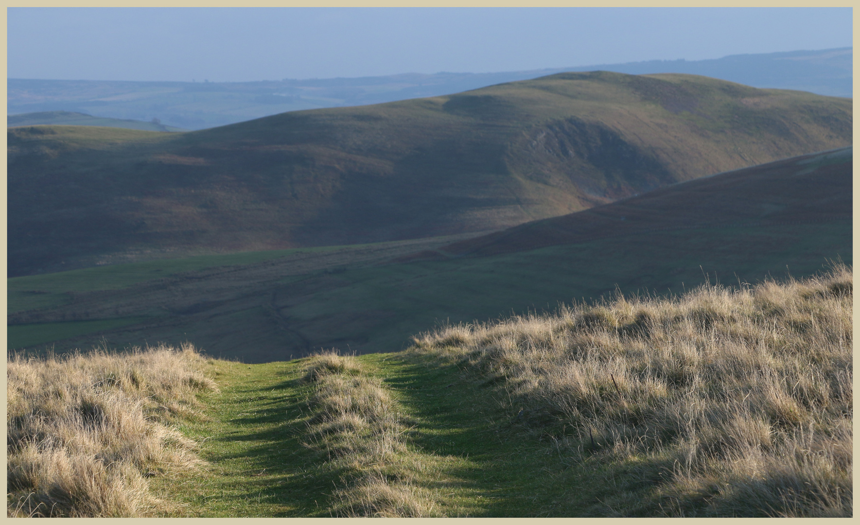 Track down brough law