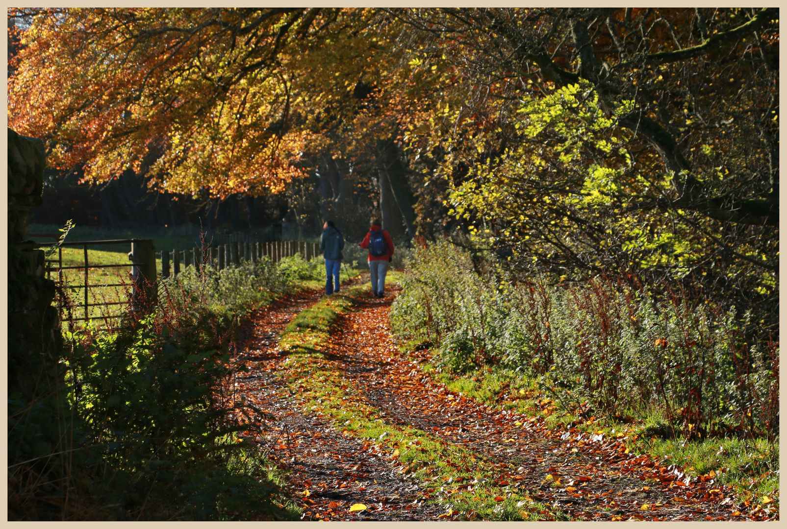 track near monk farm 2