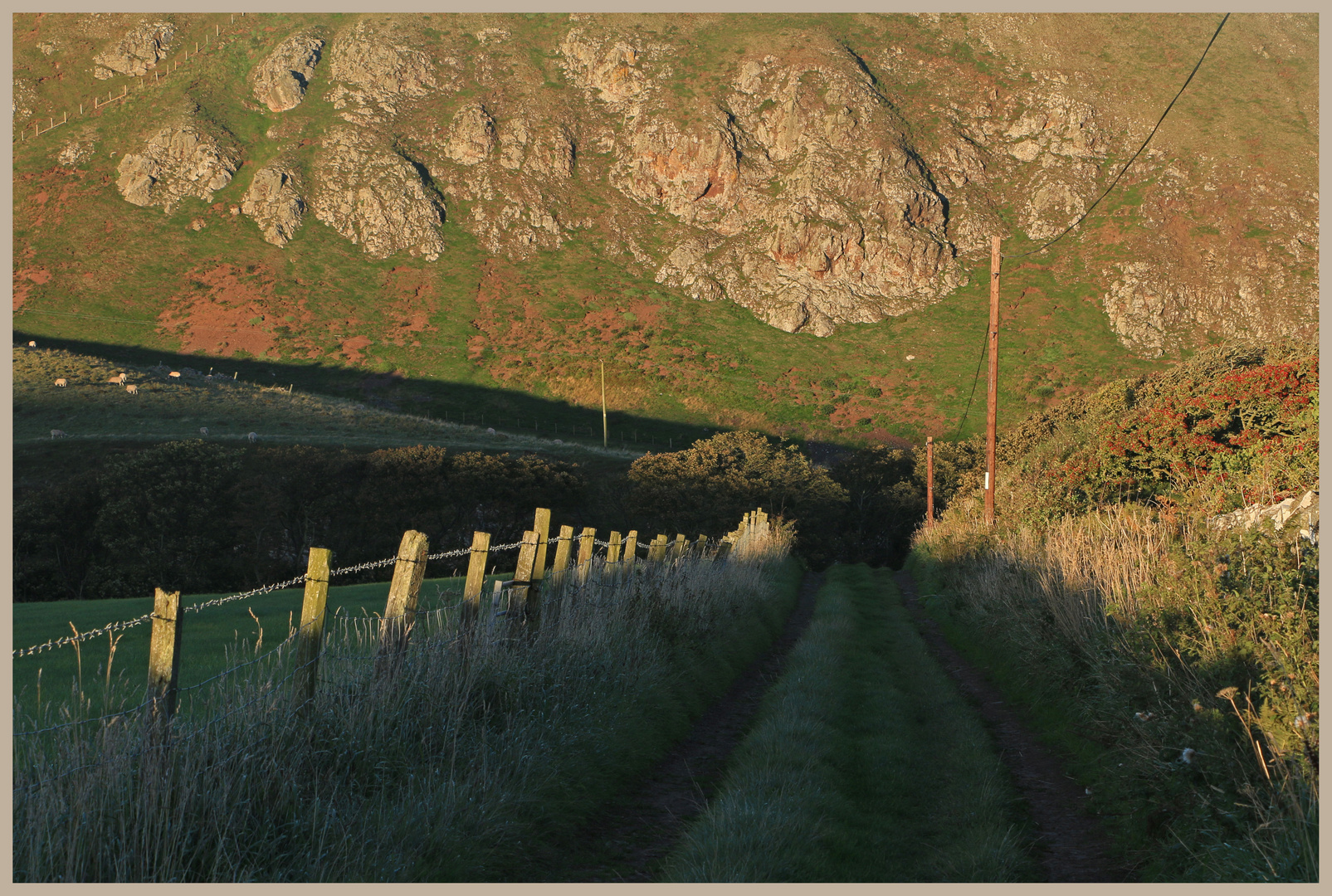 track near st abbs head