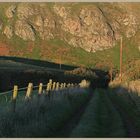 track near st abbs head