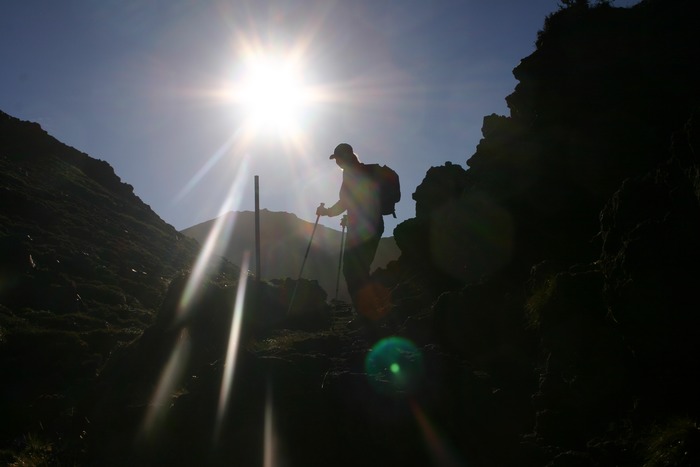 Tracking in NewZealand