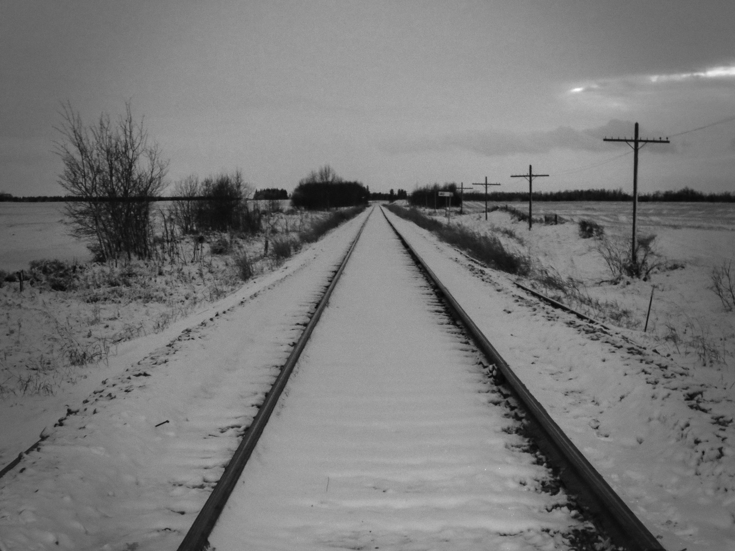 Tracks