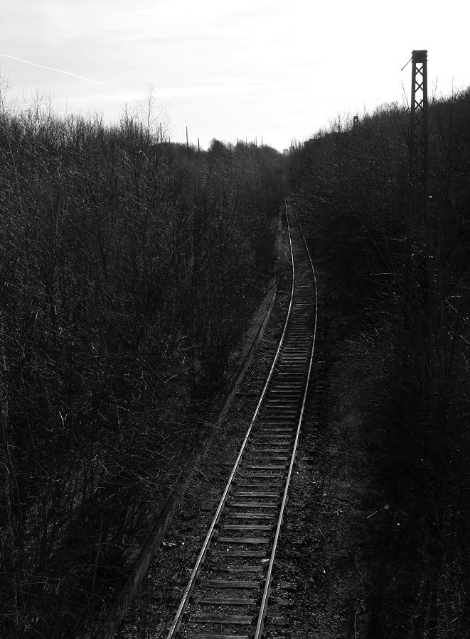 Tracks