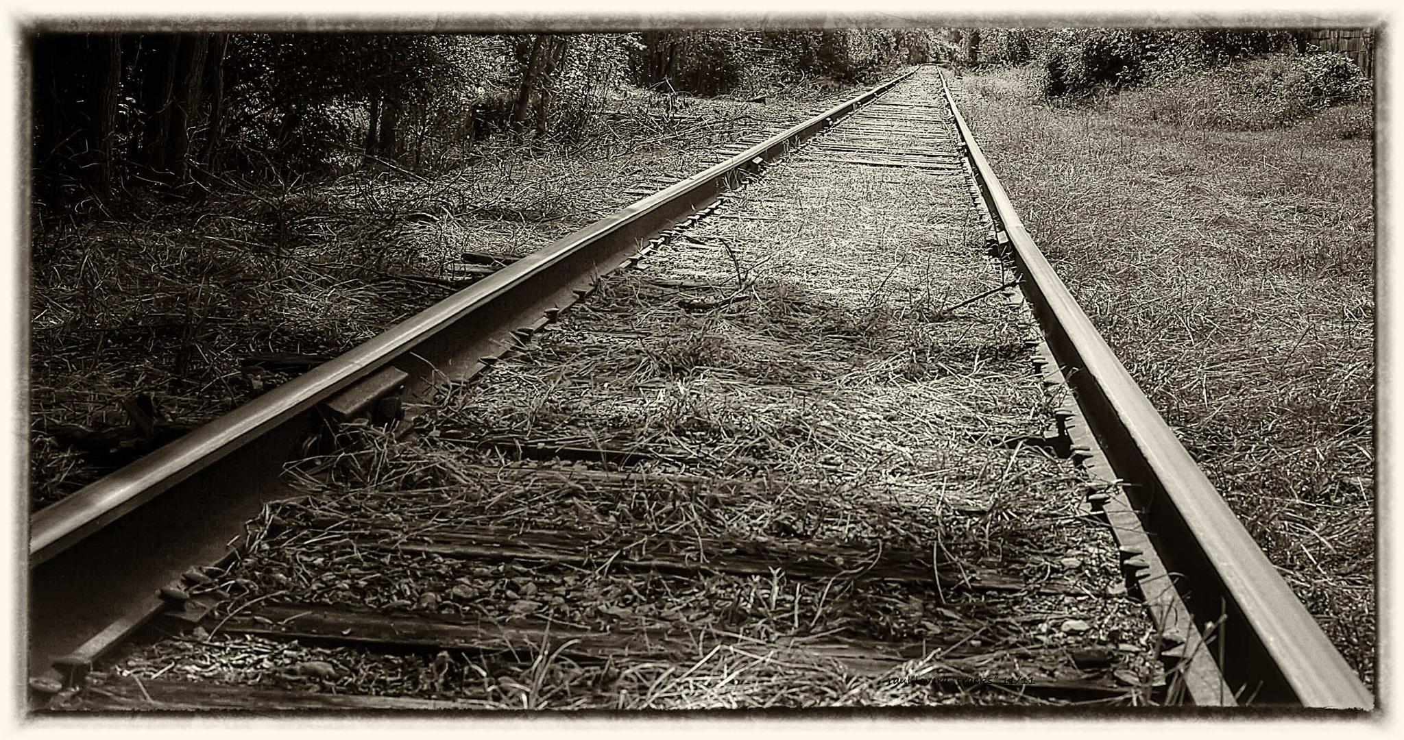 tracks