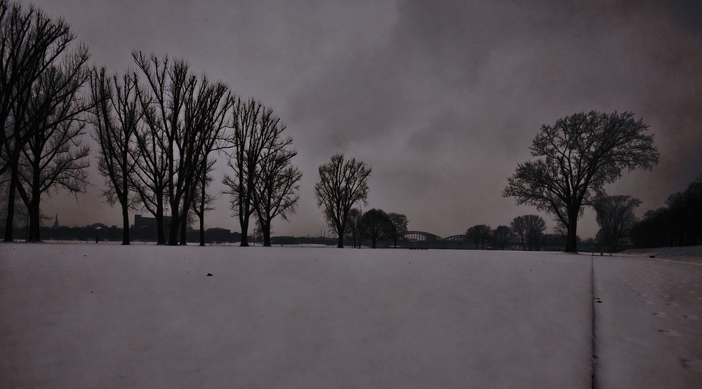 tracks in the snow