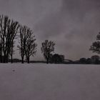 tracks in the snow