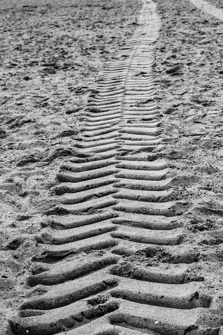 Tracks on the beach