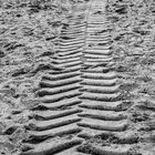 Tracks on the beach