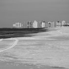 ...tracks on the beach