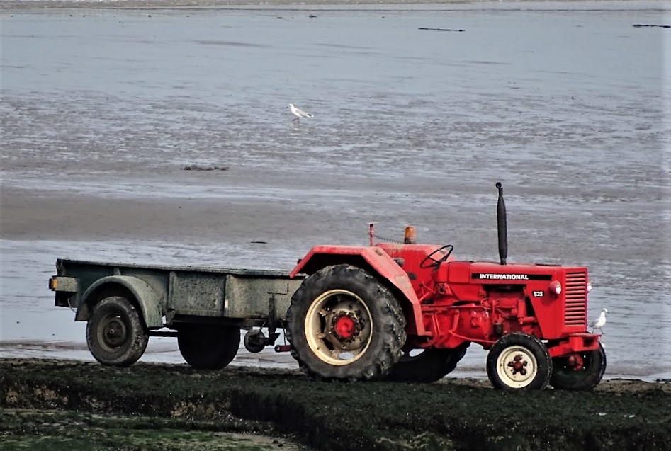 Tracteur de bord de mer