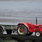 Tracteur de bord de mer