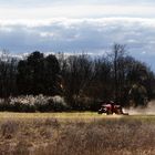 Tracteur et Timide printemps dans le Haut-Var  