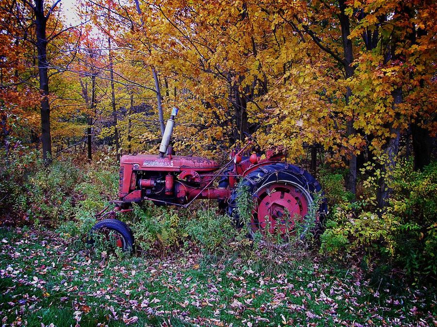 tracteur rouillant en automne