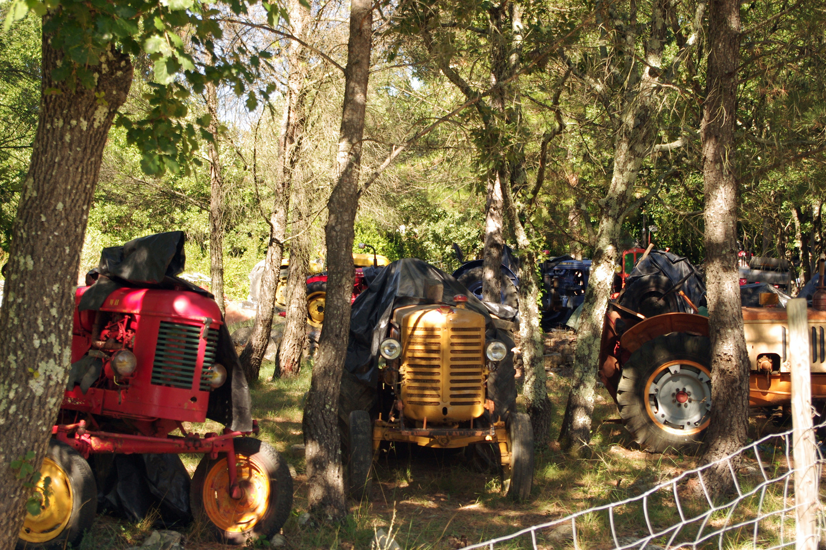 Tracteurs en retraite ....