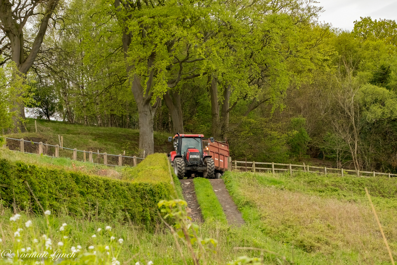  Tractor At work