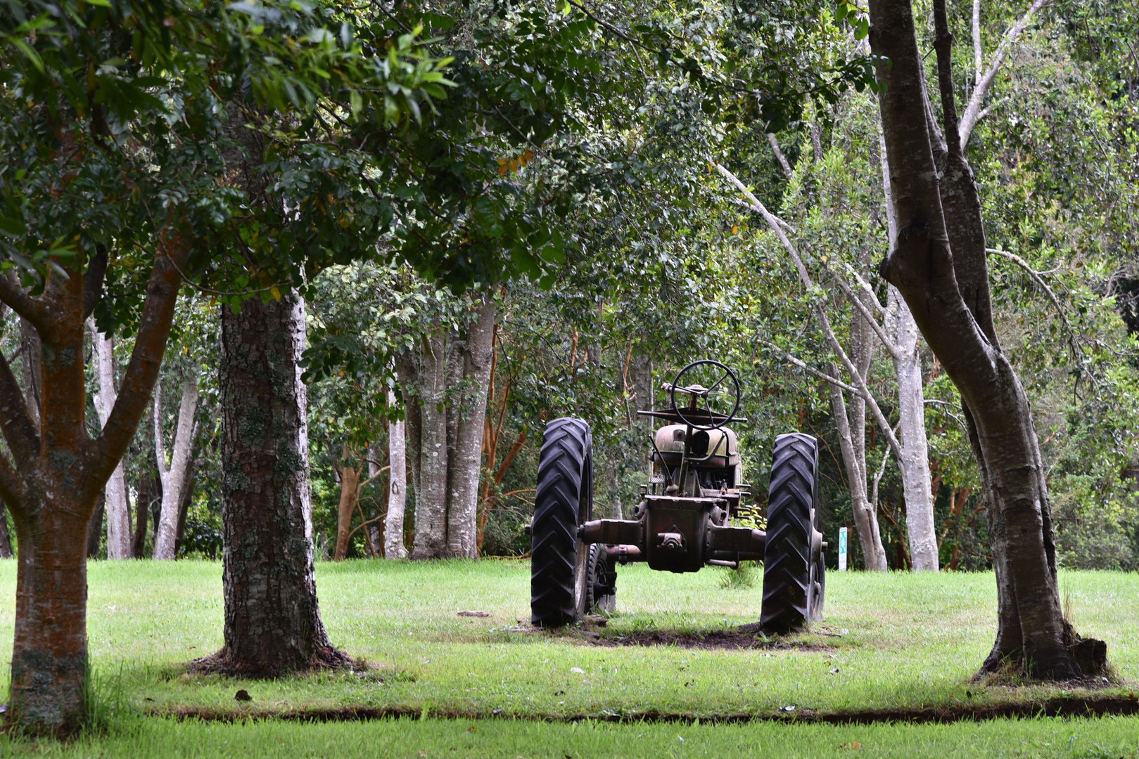 tractor