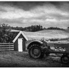 Tractor by the Shed by Tony