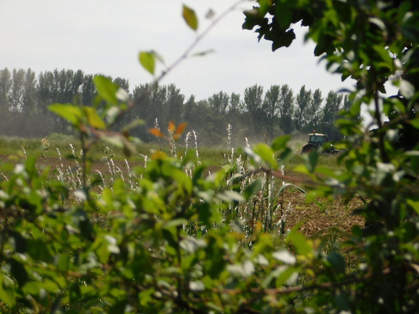 tractor in field