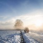 Tractor silhouette through fog at sunrise