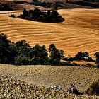 Tractor, tracteur, tractor