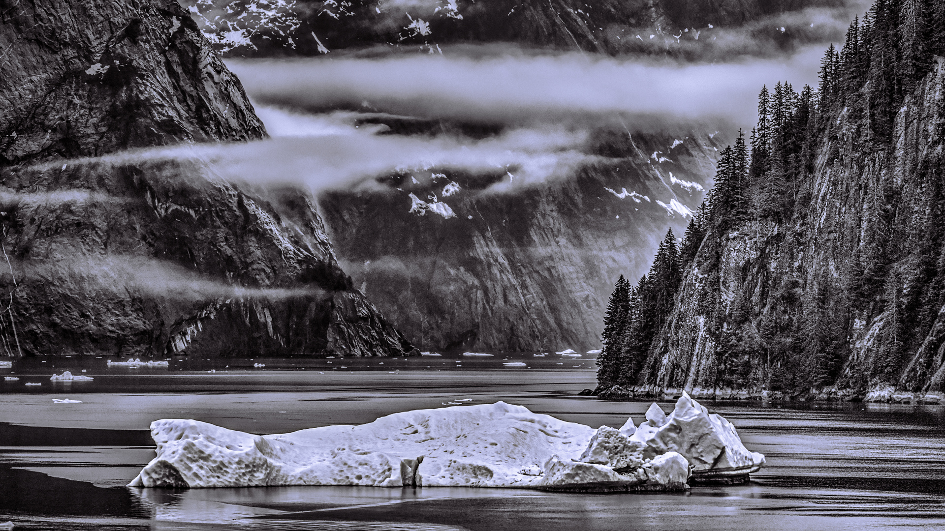 Tracy Arm Fjord 3_sw