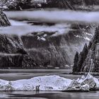 Tracy Arm Fjord 3_sw